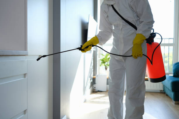 Best Residential Mold Remediation in Oviedo, FL